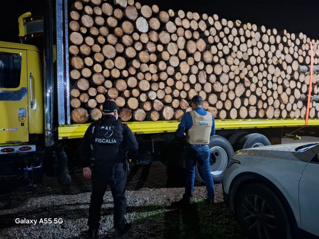 FGE aseguran vehículos que transportaban madera durante operativo coordinado en Pátzcuaro 5a0a684f e559 430f 9d43 dc64f26071fb